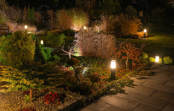 istock Landscape Illuminated by Decorative Lights Showcasing Vibrant Plants and Shrubs in a Nighttime Garden Setting 2215902655