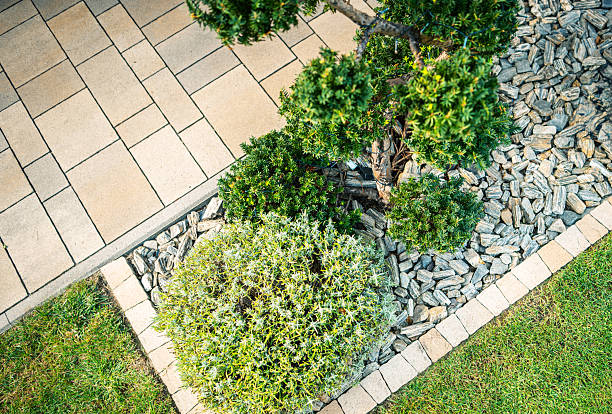 istock Lush Greenery and Stone Pathway Create a Serene Outdoor Space in a Well-Maintained Garden Setting During Daylight Hours 2215902996