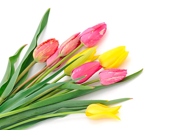 istock Colorful bouquet of tulips. 2215903746