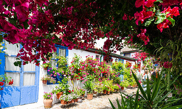 Cordoba garden design competition