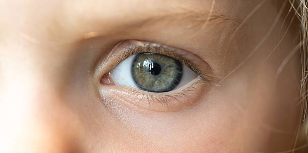 istock Close-up Gaze: A captivating close-up view of a focused, eye, reflecting both curiosity and depth. the pupil, a window to the soul. 2215907623