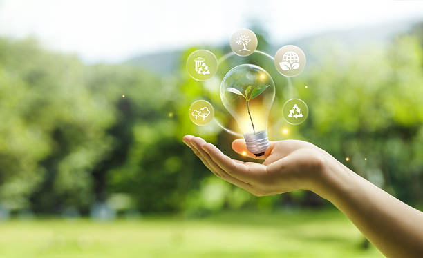 istock World Environment Day, Light Bulb on Hand, For Sustainable Development Goals of Environment, Volunteers Help Solve Environmental Problems, Teamwork and Global Business. 2215908462