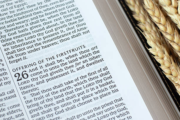 istock Firstfruits offering text in open holy bible book with ripe wheat 2215916380
