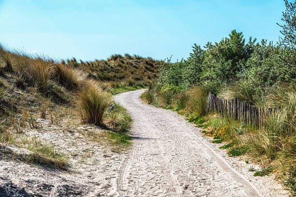 istock The Marker Wadden islands is an artificial archipelago under development to stimulate biodiversity in the Dutch Markermeer. 2215921319