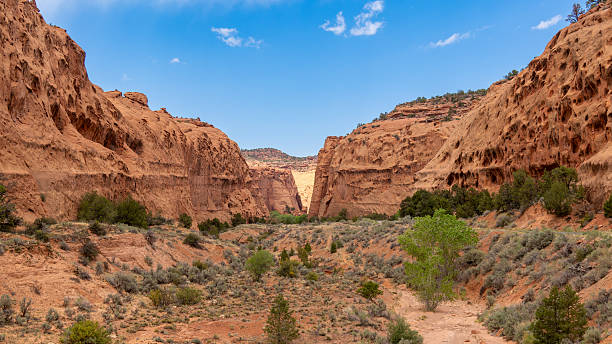 A vast, rugged wilderness of colorful cliffs, slot canyons, and ancient geology layers in Capitol reef national park in Utah, USA