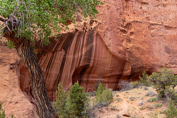 istock Grand Staircase-Escalante National Monument (Capitor Reef National Park) 2215921430