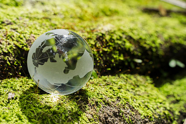 istock Glass globe on green moss in sunlight, symbolizing nature conservation, sustainable environment and global ecology 2215923214