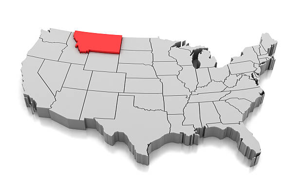 Map of Montana state, USA, isolated on white.