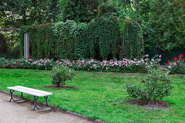 istock Peaceful bench surrounded by vibrant flowers in a serene park setting 2215926975