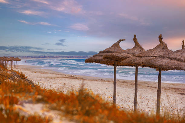 istock Straw umbrella with shells on a tropical beach 2215928950