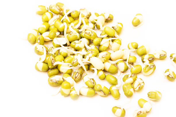 Green young legumes sprouts for food isolated on white. eco healthy modern vegetarian product for people