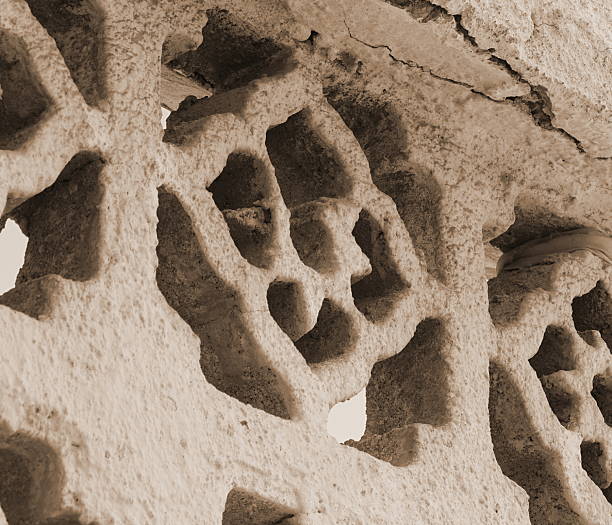 Elephant carving or stone carving or carving on the wall of Amar Sagar jain temple, Jaisalmer, Rajasthan, India, Asia. Background. Backdrop. Wallpaper.