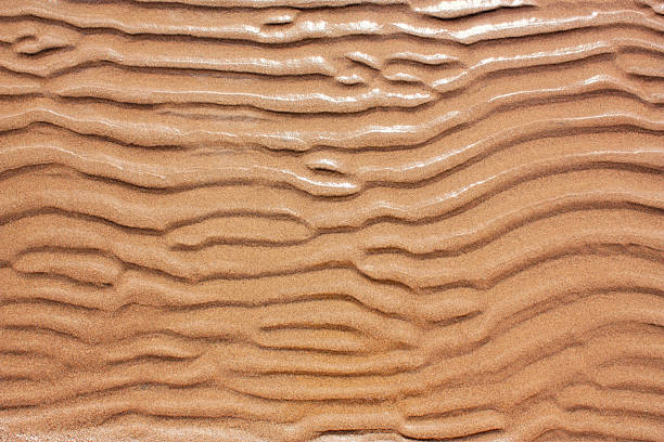 istock The background of sand 2215937414