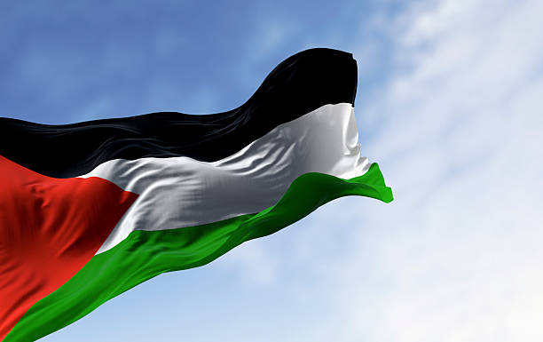 istock Palestine national flag waving on a clear day 2215938344