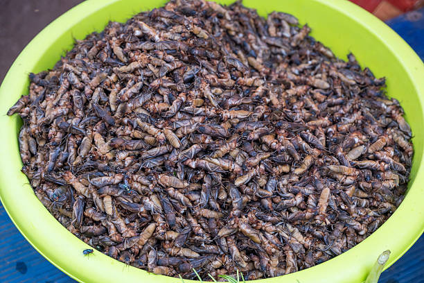 istock Grasshoppers at market in Cambodia 2215939208