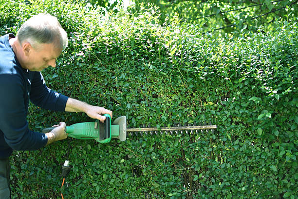 istock spring landscaping of the yard 2215940553