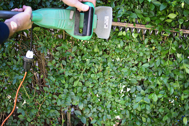 istock spring landscaping of the yard 2215940917