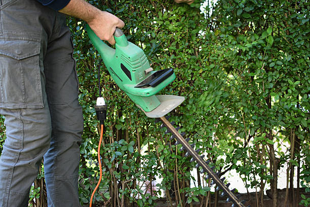 istock spring landscaping of the yard 2215940932