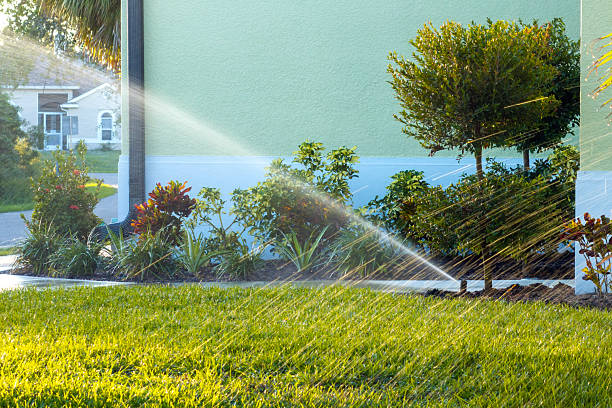 istock Sprinkler watering lawn grass during dry season 2215947094