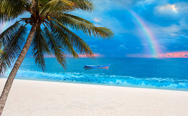 istock Palm trees at a tropical beach with boat 2215948050
