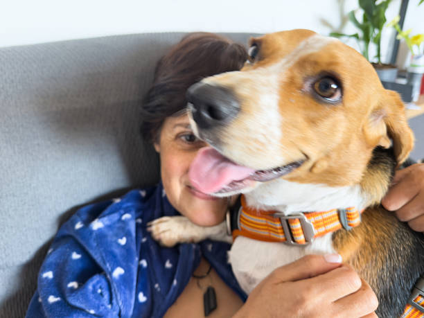 istock Woman embracing her happy beagle dog 2215948224