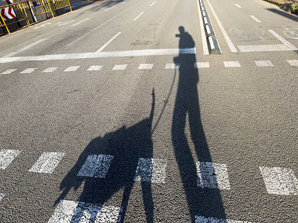 The elongated shadows of a pet owner and their canine companion stretch across the asphalt, creating a striking visual narrative of a leisurely stroll on a sunny day