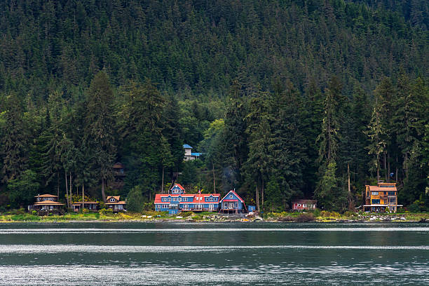 istock The shoreline in Alaska 2215951977