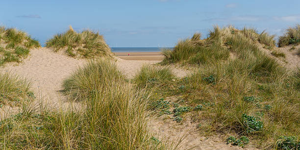 istock A beach with sand dunes and a grassy area in front of it 2215952383