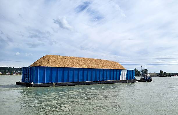 Wood chips barge towed down the Frasier river, New Westminster, British Columbia, Canada