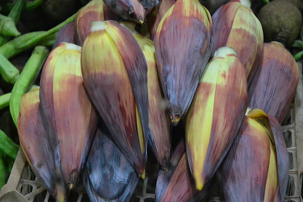 istock several banana flowers 2215958078