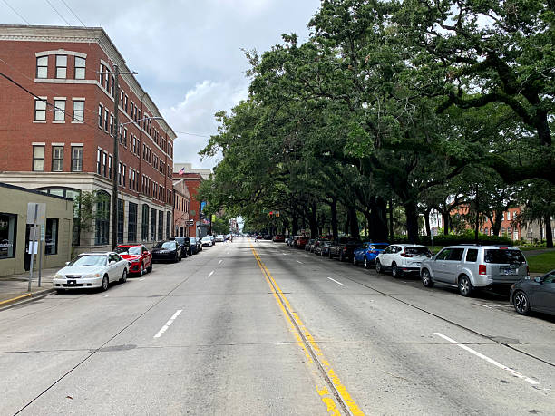 istock Wide Tree-Lined Avenue in Historic Savannah, Georgia 2215958841