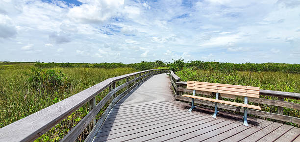 istock View from Anhinga Trail boardwalk in Everglades National Park , Florida 2215959654