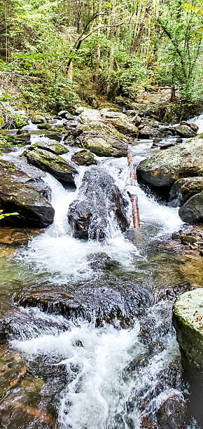 istock body of water between trees at anna ruby falls in Georgia 2215961386