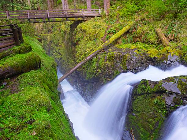 istock Beautiful Sol Duc Falls in Washington. 2215971157