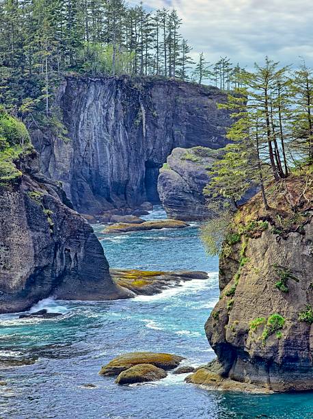 istock Scenic Cape Flattery in Washington State. 2215971209