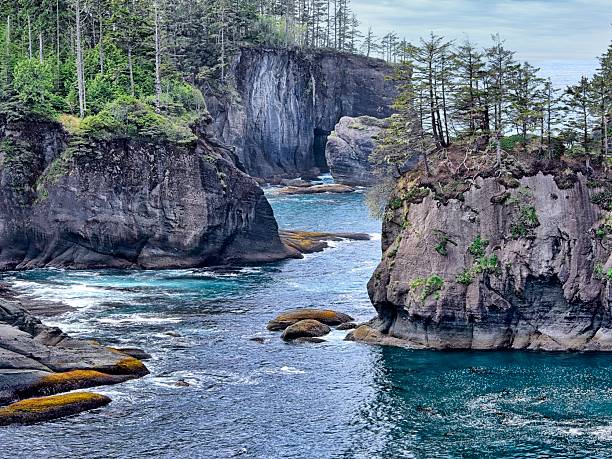 istock Seastack and trees in Cape Flattery. 2215971210