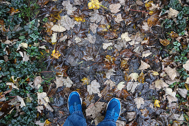 Blue shoes stand on wet colourful fall autumn leaves