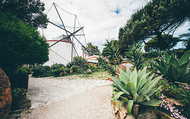Wide-angle view of a lush Mediterranean garden with agave plants, flowering bushes, and a traditional white windmill structure under a partly cloudy sky, creating a vibrant and serene scene