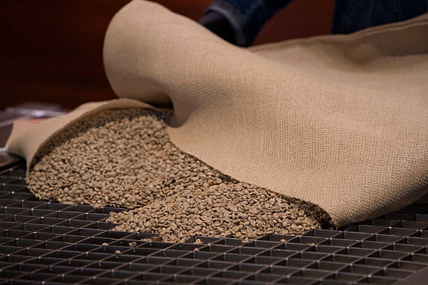 istock Raw coffee beans being poured from a burlap sack during the roasting process at a coffee factory. Close-up image showing movement and texture. 2215976576