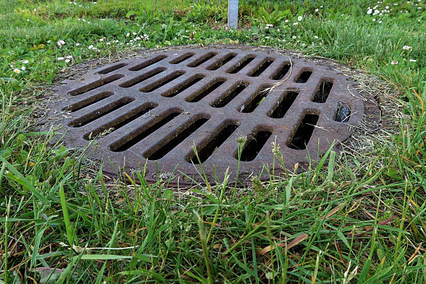 istock Rusty iron drainage grate surrounded by grass and small wildflowers in a green park area. Urban infrastructure and rainwater runoff system close-up in natural environment 2215978254
