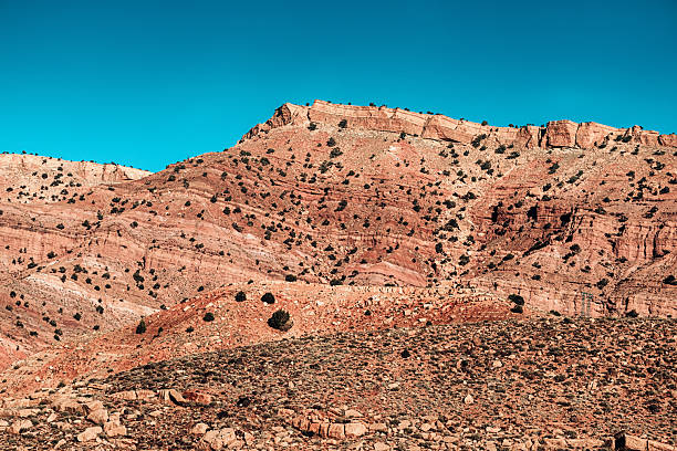 Red sandstone formations and sparse vegetation create a stunning landscape under a vibrant blue sky, showcasing the beauty of nature's artistry