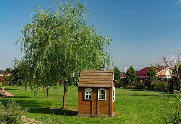 A charming wooden playhouse sits under a tree in a spacious backyard with green grass and suburban homes in background.