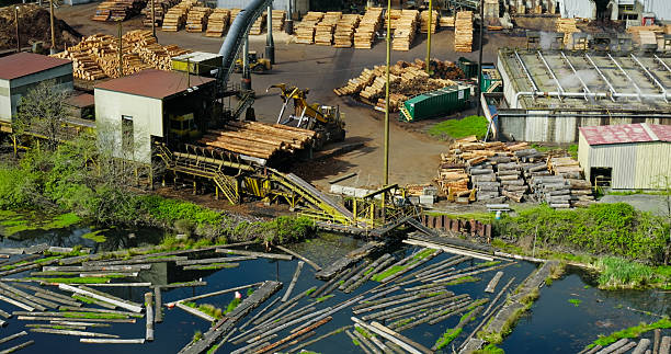 istock Heavy Machinery Moving Logs in Sawmill - High Angle View 2215985958