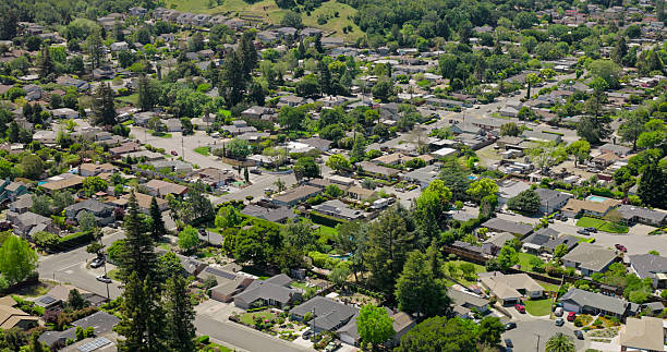 istock Trees and California Bay Area Suburbs 2215988291