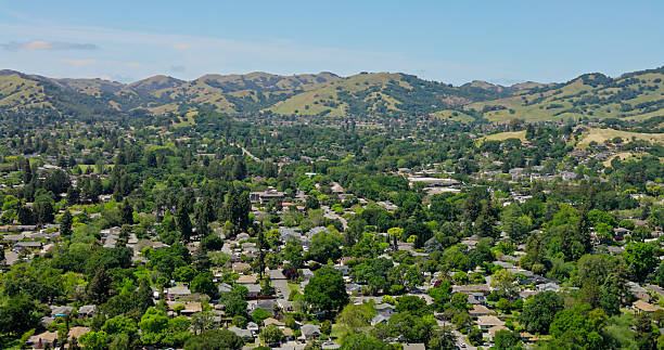 istock Bay Area Suburbs Hidden in Trees - Drone Shot, Spring 2215988292