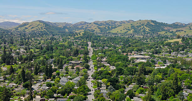 istock Novato, CA Suburbs Hidden in Trees - Aerial 2215988297