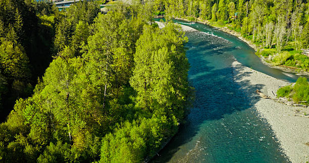 istock High Angle View of Restored Elwaha River in Washington State 2215989150
