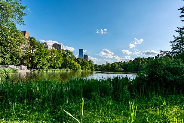 istock The Pond at Central Park 2215989170