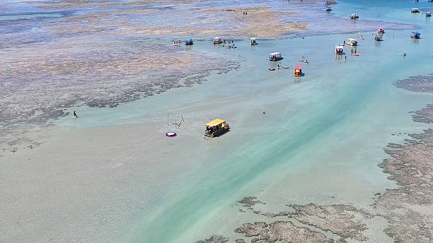 istock Japaratinga and Maragogi in Alagoas, Brazil 2215989873
