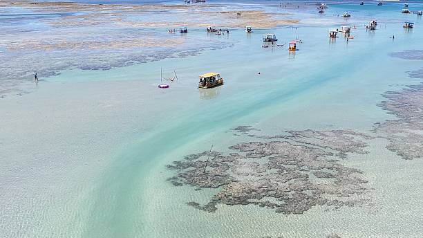 istock Japaratinga and Maragogi in Alagoas, Brazil 2215989877